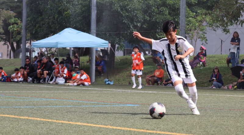 JFA 第50回全日本U-12サッカー選手権大会沖縄県大会